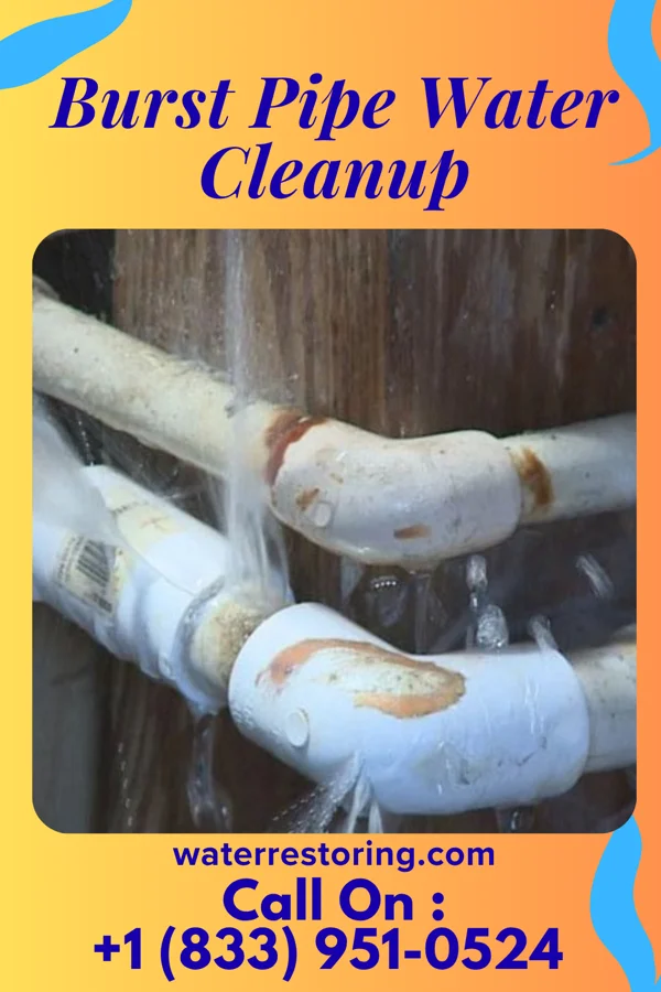 Burst Pipe Water Cleanup in Donald, OR