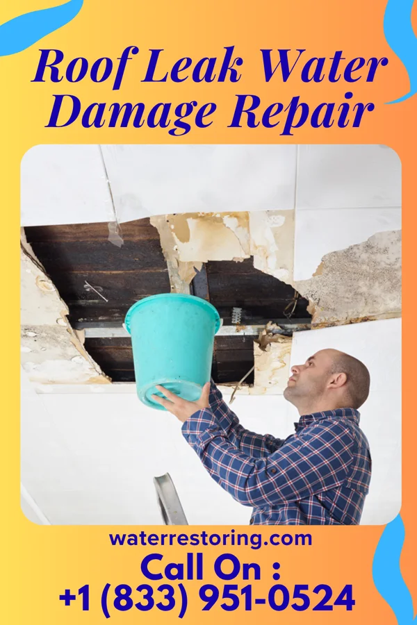 Roof Leak Water Damage Repair in Donald, OR